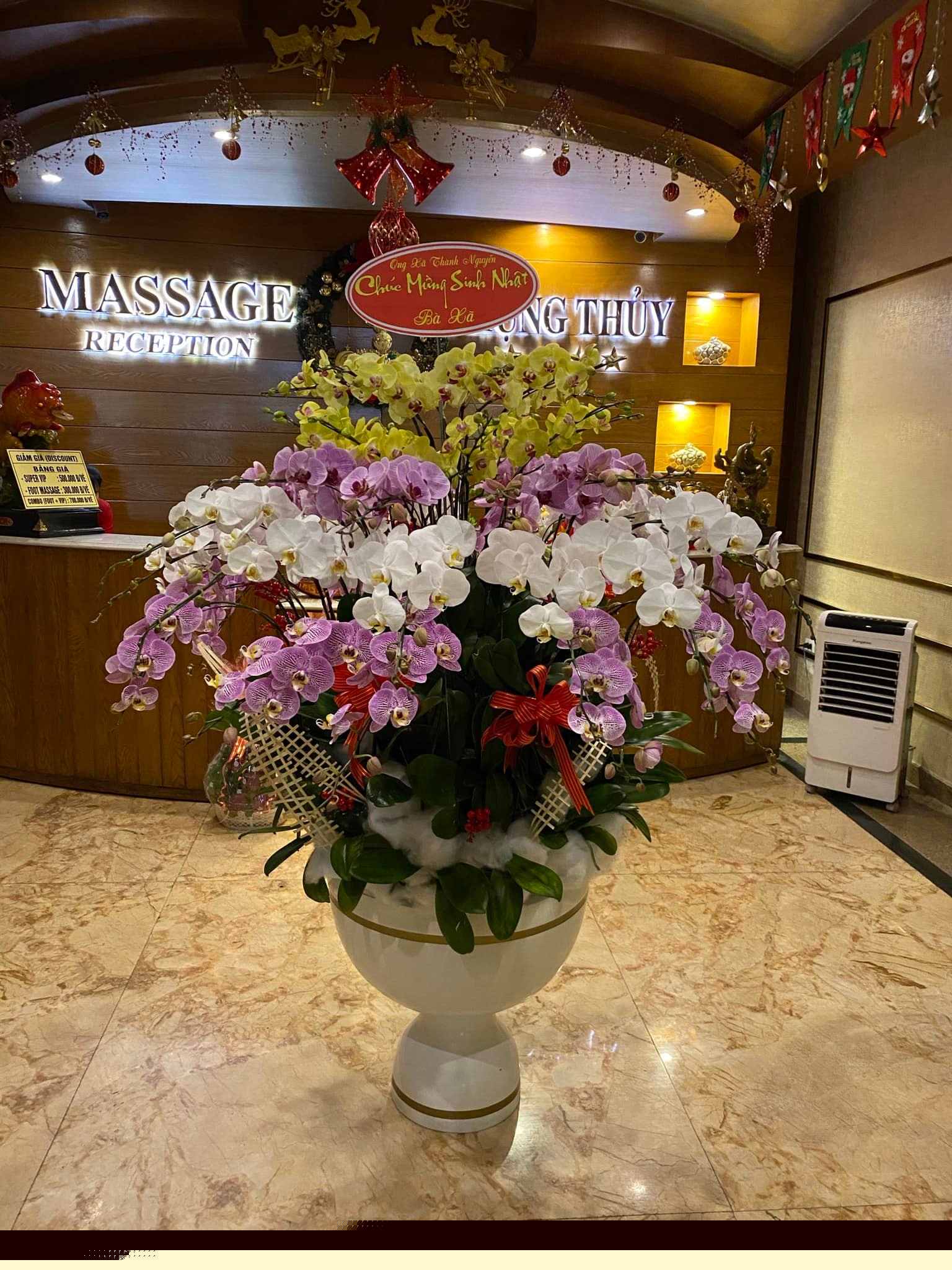 256664424 415663100152709 5167627336142207576 n