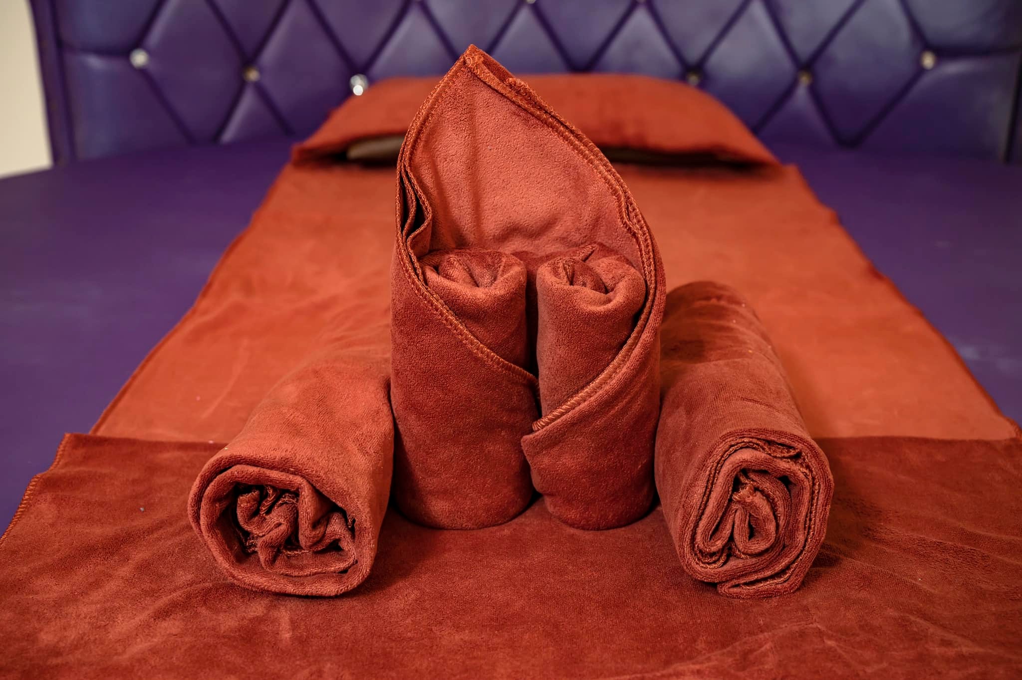 285153824 1681011685598479 3063972114617181118 n