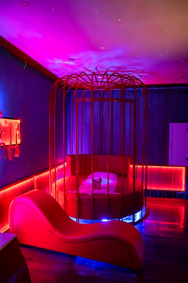 287682968 1680467472319567 4714043252907541836 n