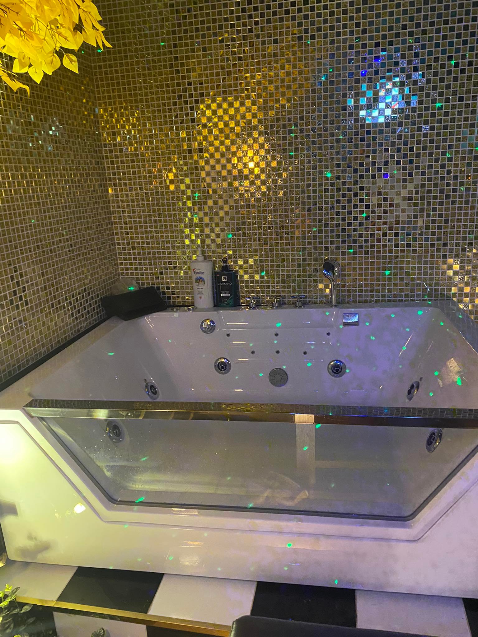 308295592 1717417091964910 5804064302078514660 n