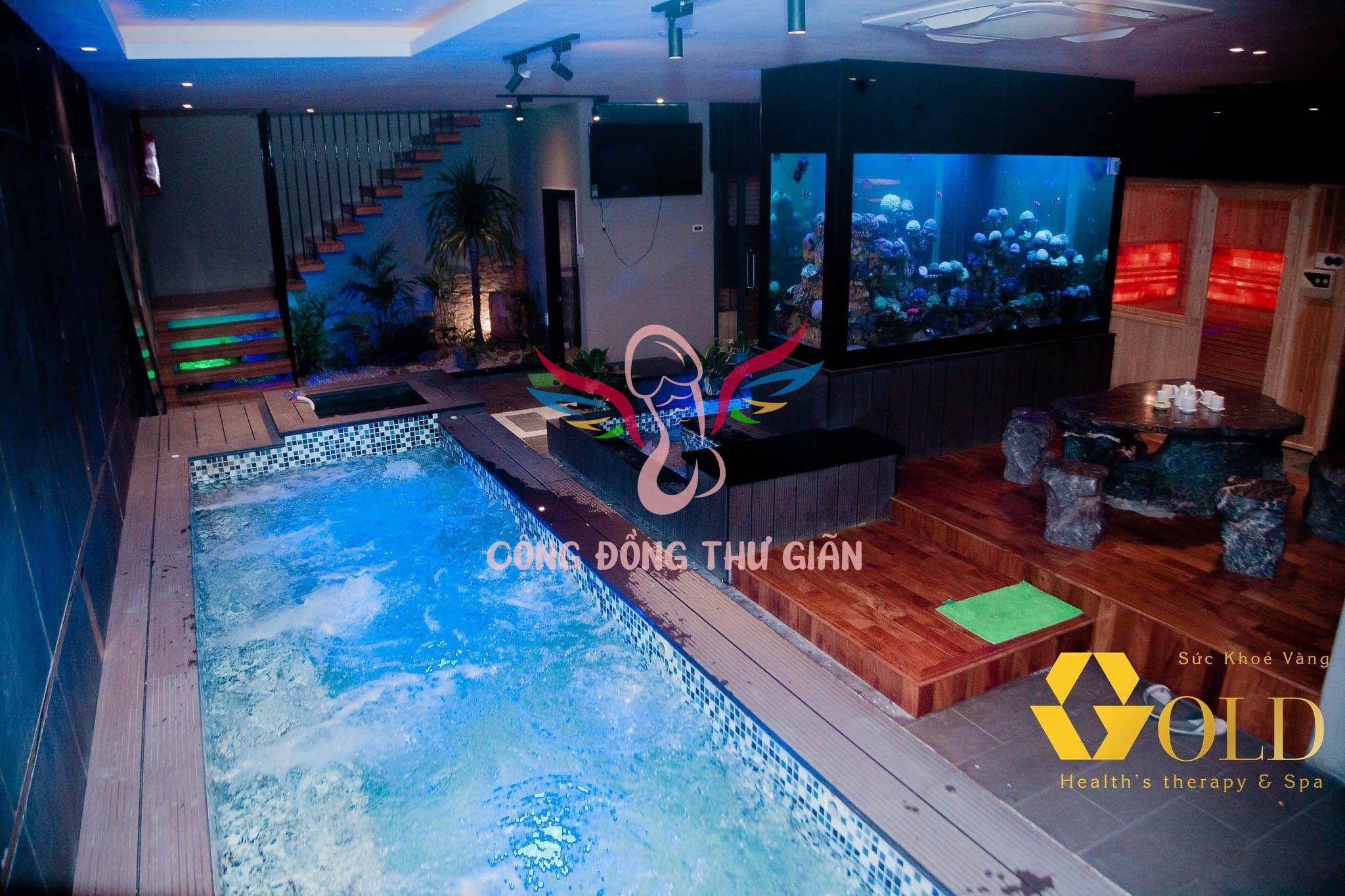 62B48EF1 7771 4FF7 A243 758107BE74D8