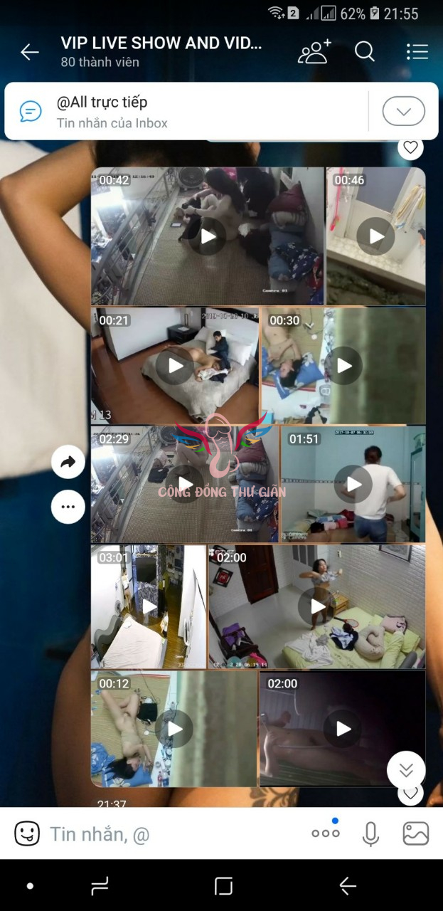 IMG 1670391551549 1670391555708